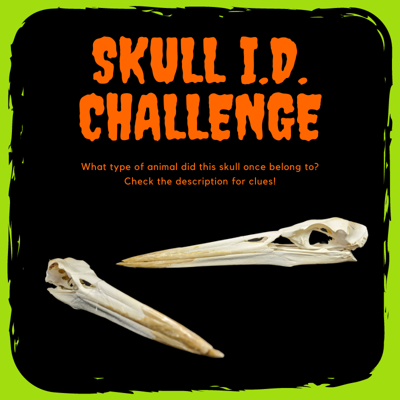 Woodlands Nature Station in LBL tweet media