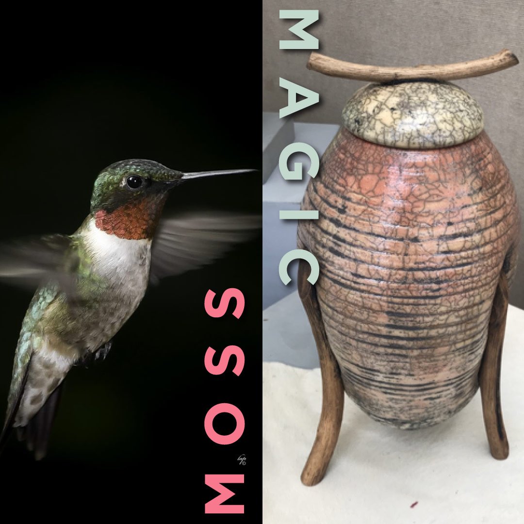 Moss Rock Festival tweet media