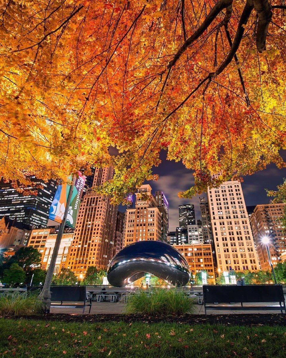 Chicago_History's tweet photo. Seasons.

#ChicagoHistory 🎃 https://t.co/xUUGvxRNzy