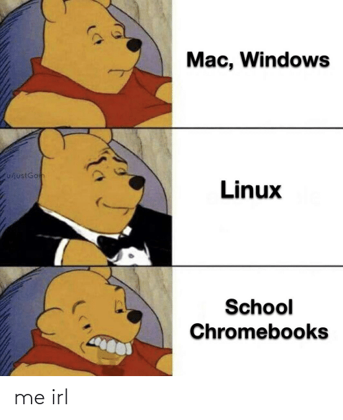 coolesthamster (@brownleeangus) on Twitter photo 