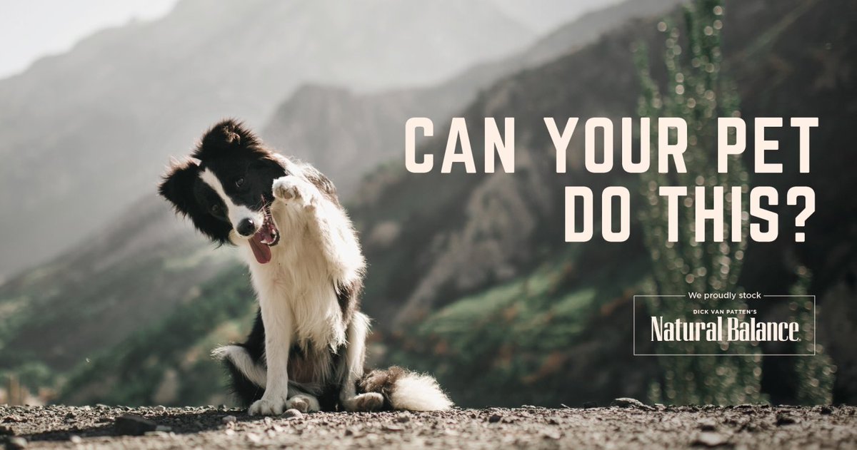 PawsStop's tweet image. It’s amazing what pets can do — with the right motivation, that is.
Stop in for tasty, training treats today!