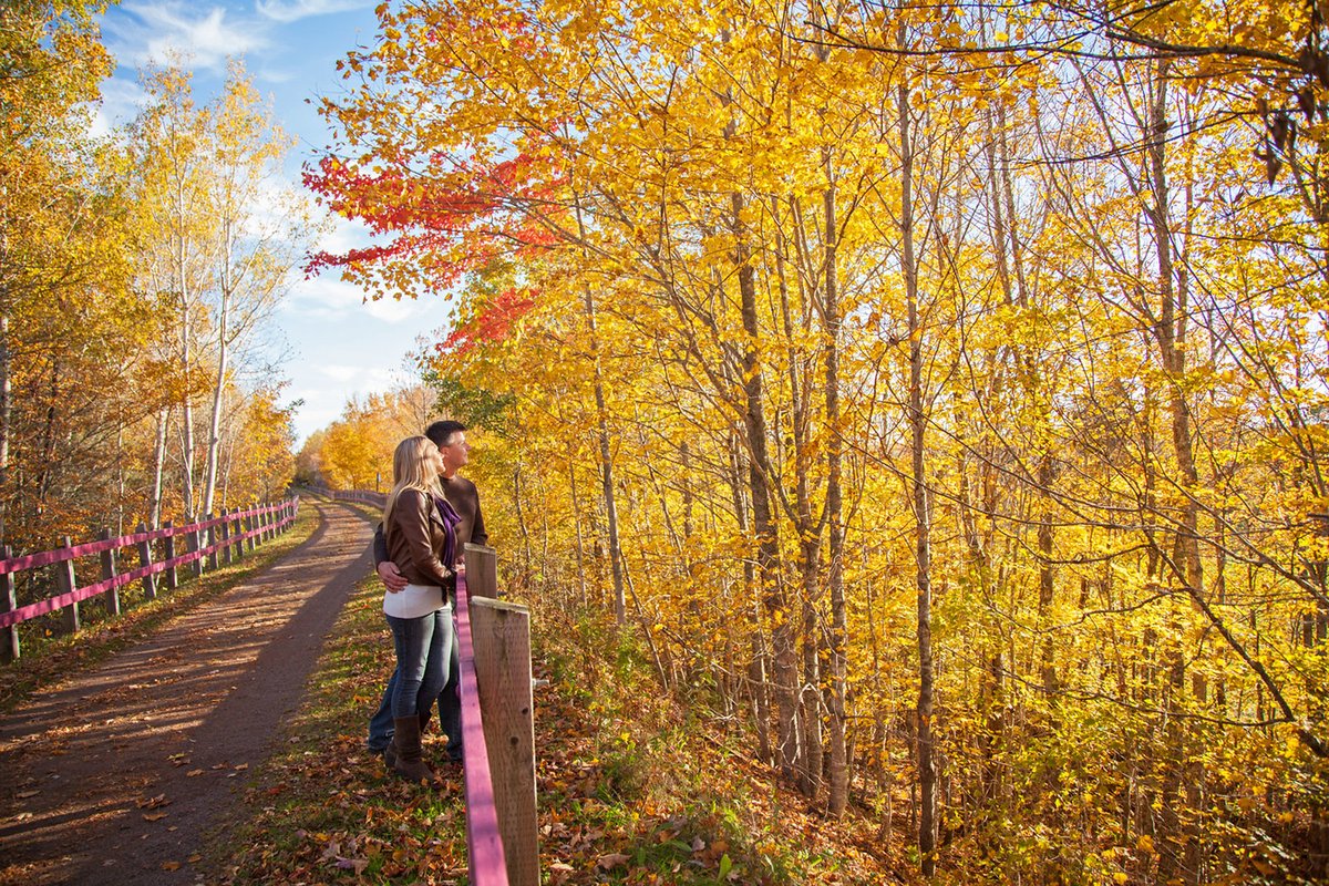 The beauty of fall along the Confederation Trail 😍🍂

#ExplorePEI #PEINice #CanadaNice
