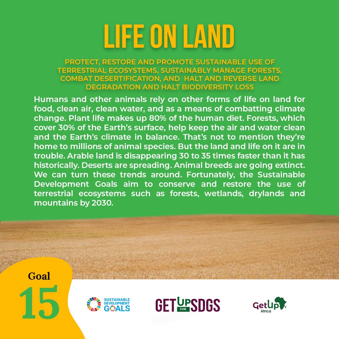 ChinanuChukwu's tweet photo. Rounding up the SDGs rally.💃

Day 15 on Goal 15 of the SDGsRally 2020!

In order to protect life on Earth, we all need to:
Protect, restore and promote sustainable use of terrestrial ecosystem. We all can.

GetUpforSDGS

#SDGsRally2020 
#Africa4SD
#getupforSDGs
#waaph
#WAAPH_VIP https://t.co/g2lYbXRs0u
