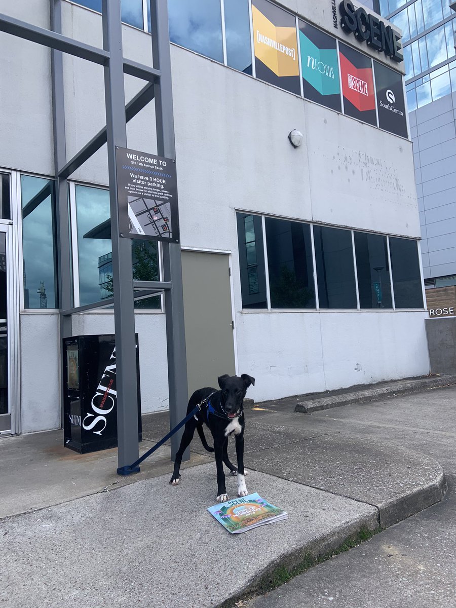 nashvillehumane's tweet photo. Available2Adopt Skellington picking up his copy of @NashvilleScene ‼️
#bon2020 https://t.co/6AmIBbWfr9
