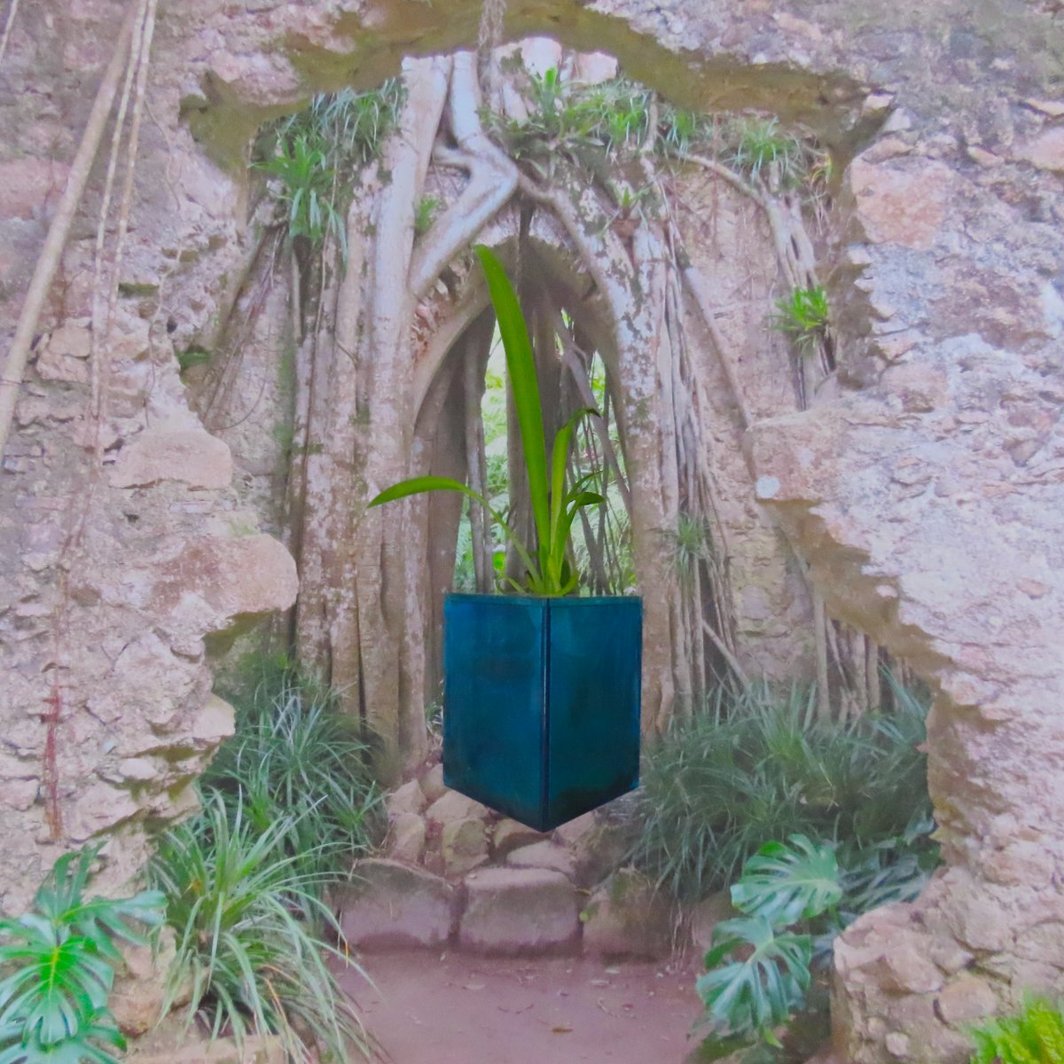 bionicphoto's tweet photo. PLANTGATE - BIONIC PHOTO #floating #plants #bionicphoto #fotobionica #livingart #bioart #photo #trends https://t.co/g52hpsDfvq