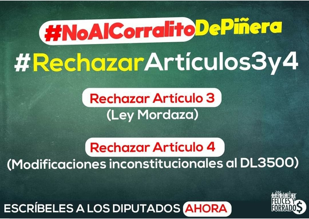 Agustín Alvarado 🌳💪🏻 tweet media