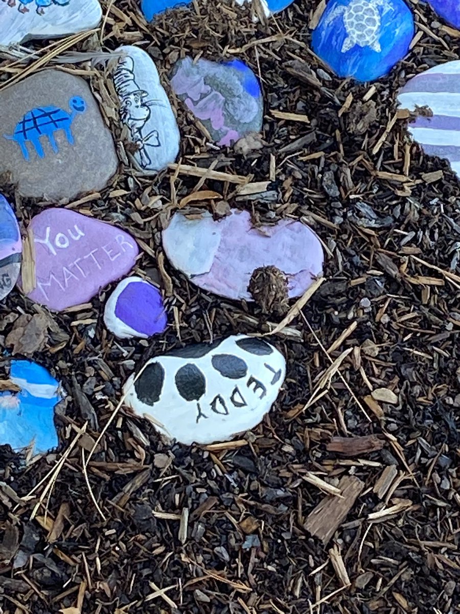 #teddyisthebestdog <a href="/MsCFay/">Christine Fay</a>