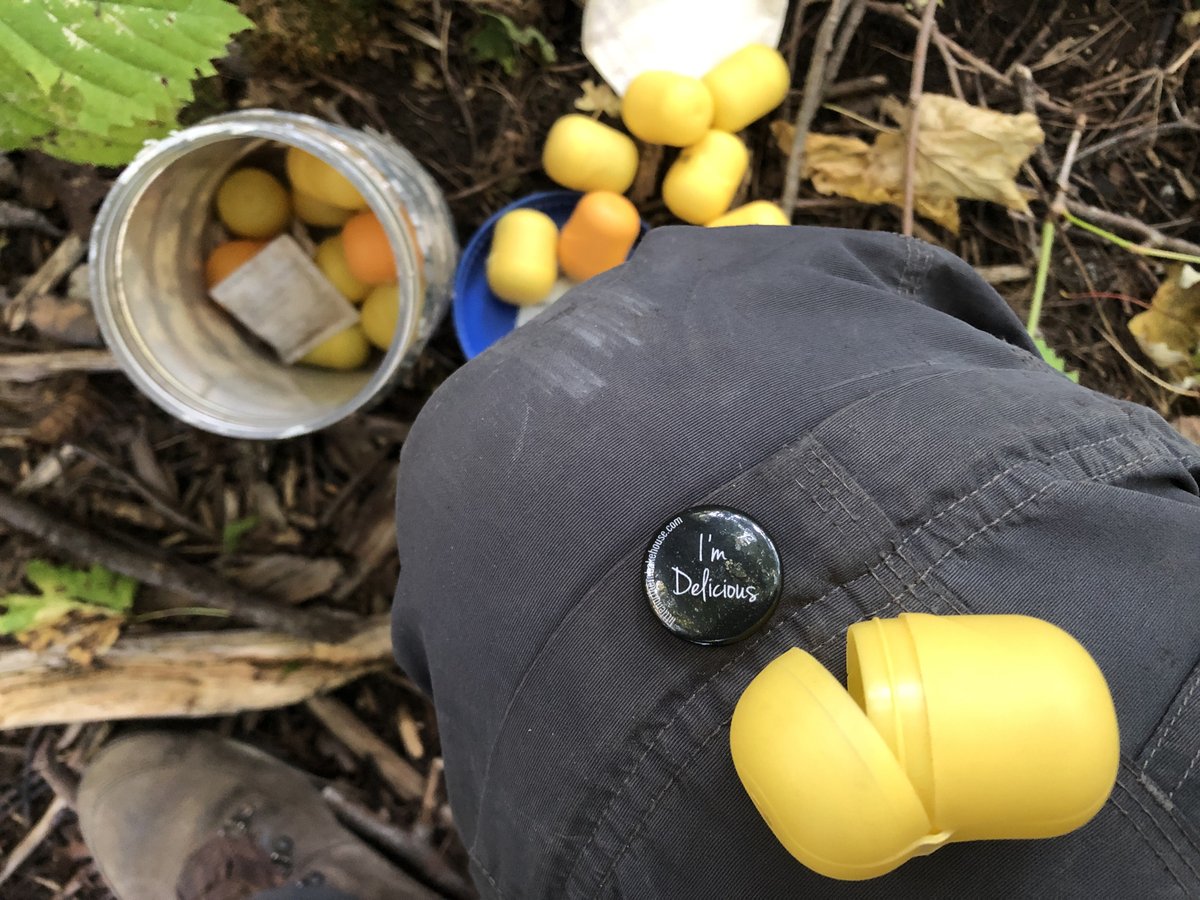 CacheTheLine's tweet photo. Sometimes, it’s all about the #ThingsInGeocaches 😆

#geocaching @GoGeocaching https://t.co/r75rMxaI2E