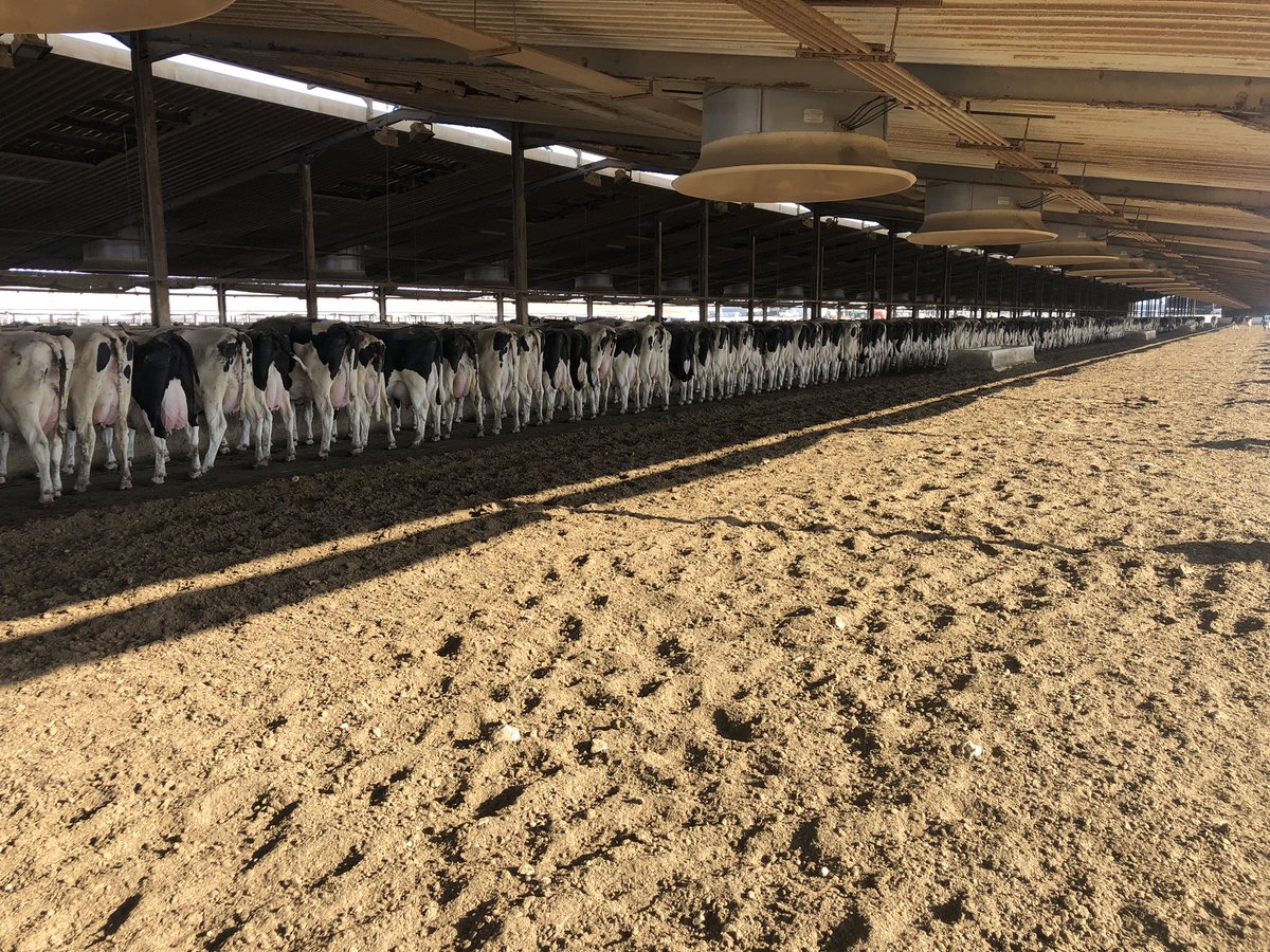 Eanna Linnane tweet media