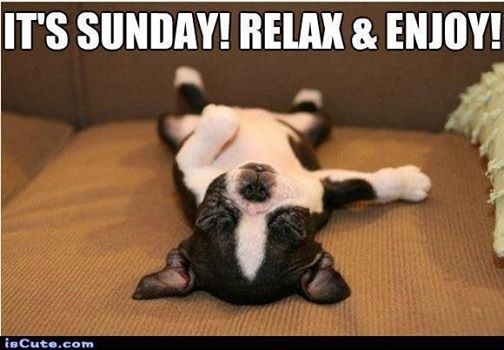 PrinterHouston's tweet image. Happy Sunday to all! What can we print for you this upcoming week? #MinutemanPress #CustomPrinting #SmallBusiness #Business #Marketing #Advertising #BrandIdentity #BrandAwareness #Houston #PromotionalProducts