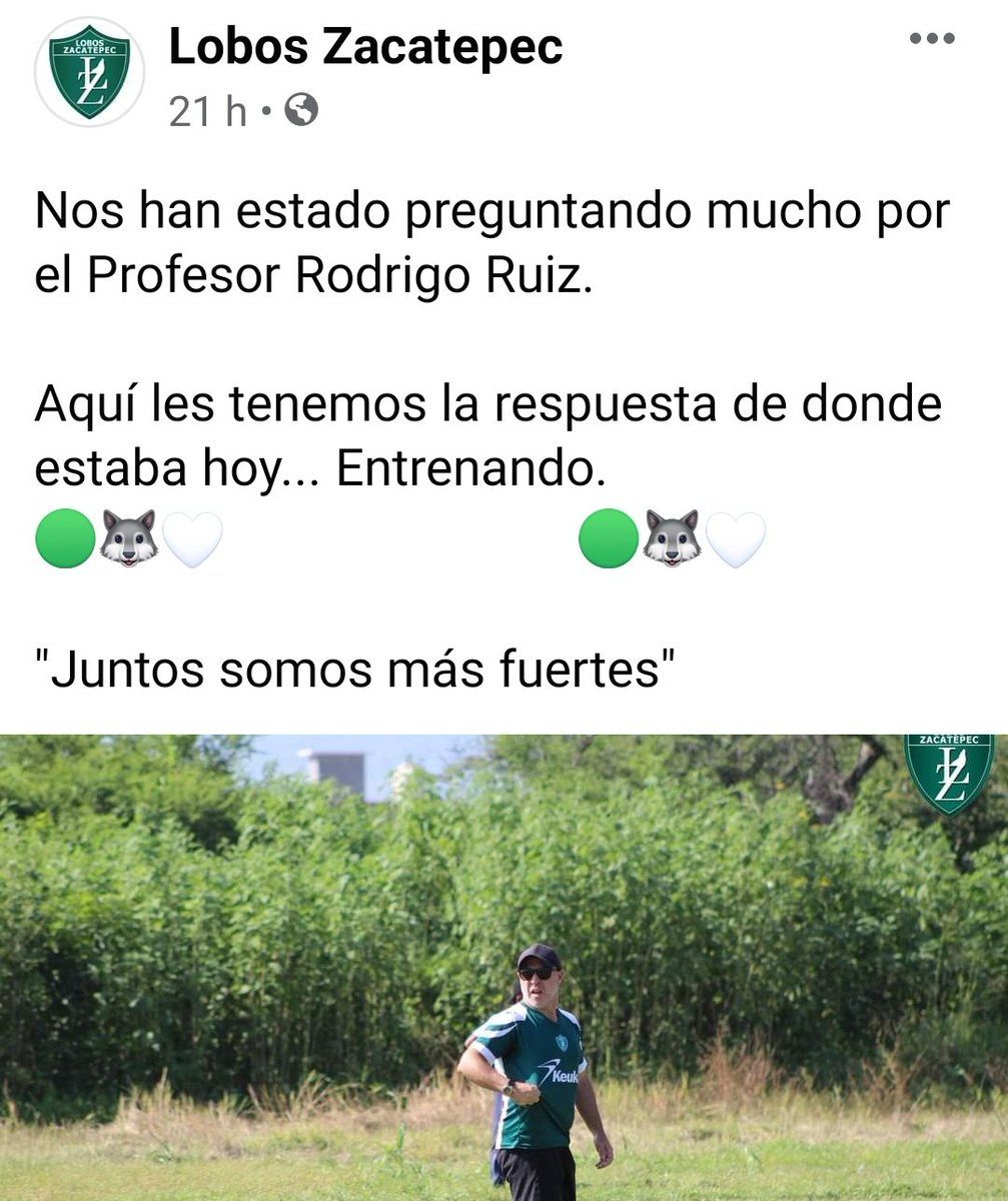 Lobos Zacatepec tweet media