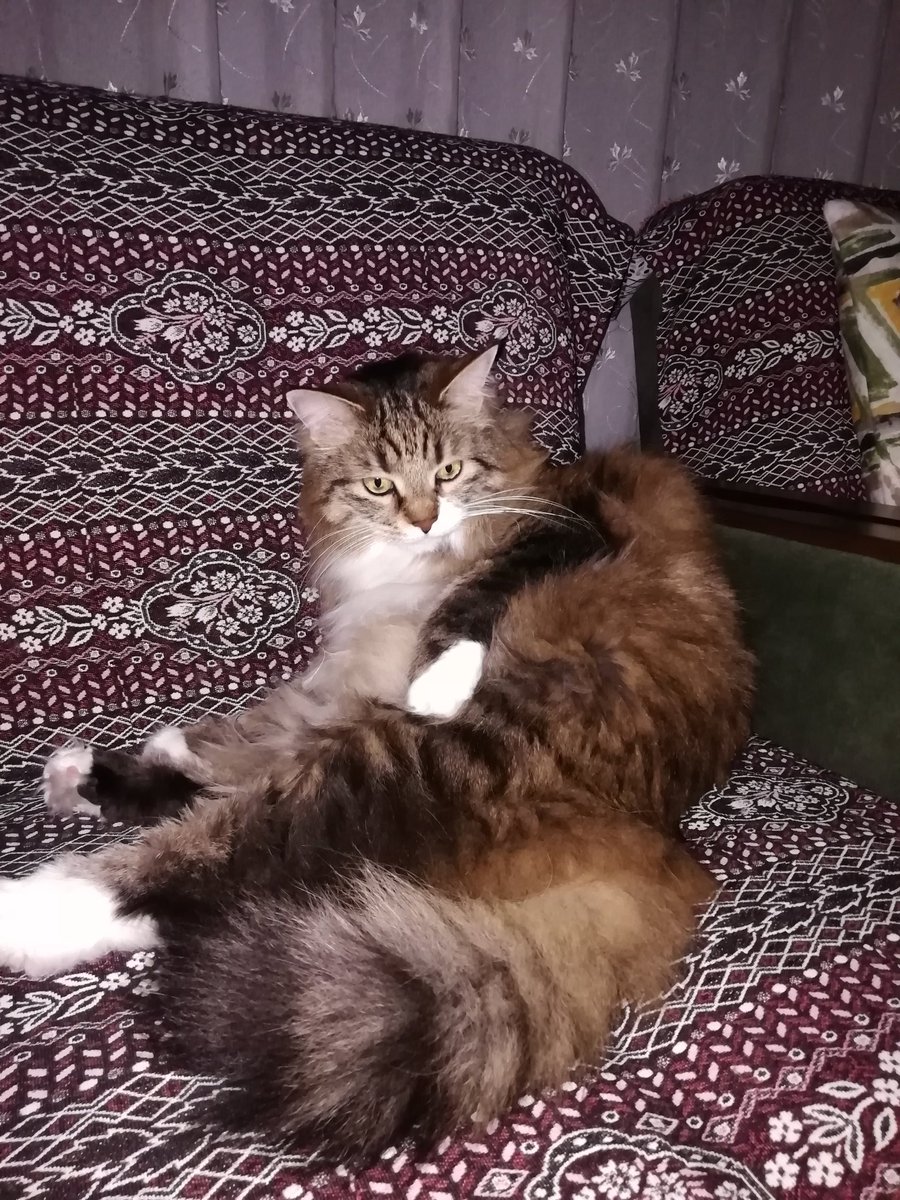 Banyo yabarken de çekiyorlar, ne bu çektiğim kardeşim!bir11!!