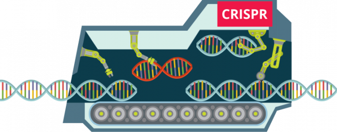 We've summarised an academic article exploring Māori values about gene editing into 3 easy pages, which also gives students experience of the structure of academic articles: nzase.org.nz/wp-content/upl… <a href="/NZScienceLearn/">Science Learning Hub</a> <a href="/Welly_ED/">Welly ED</a> <a href="/PalmyED/">Palmy ED</a> <a href="/TeKura_NZ/">Te Aho o Te Kura Pounamu</a> <a href="/treenascool/">Treena Blythe</a> <a href="/BakerRoimata/">Roimata Baker</a>