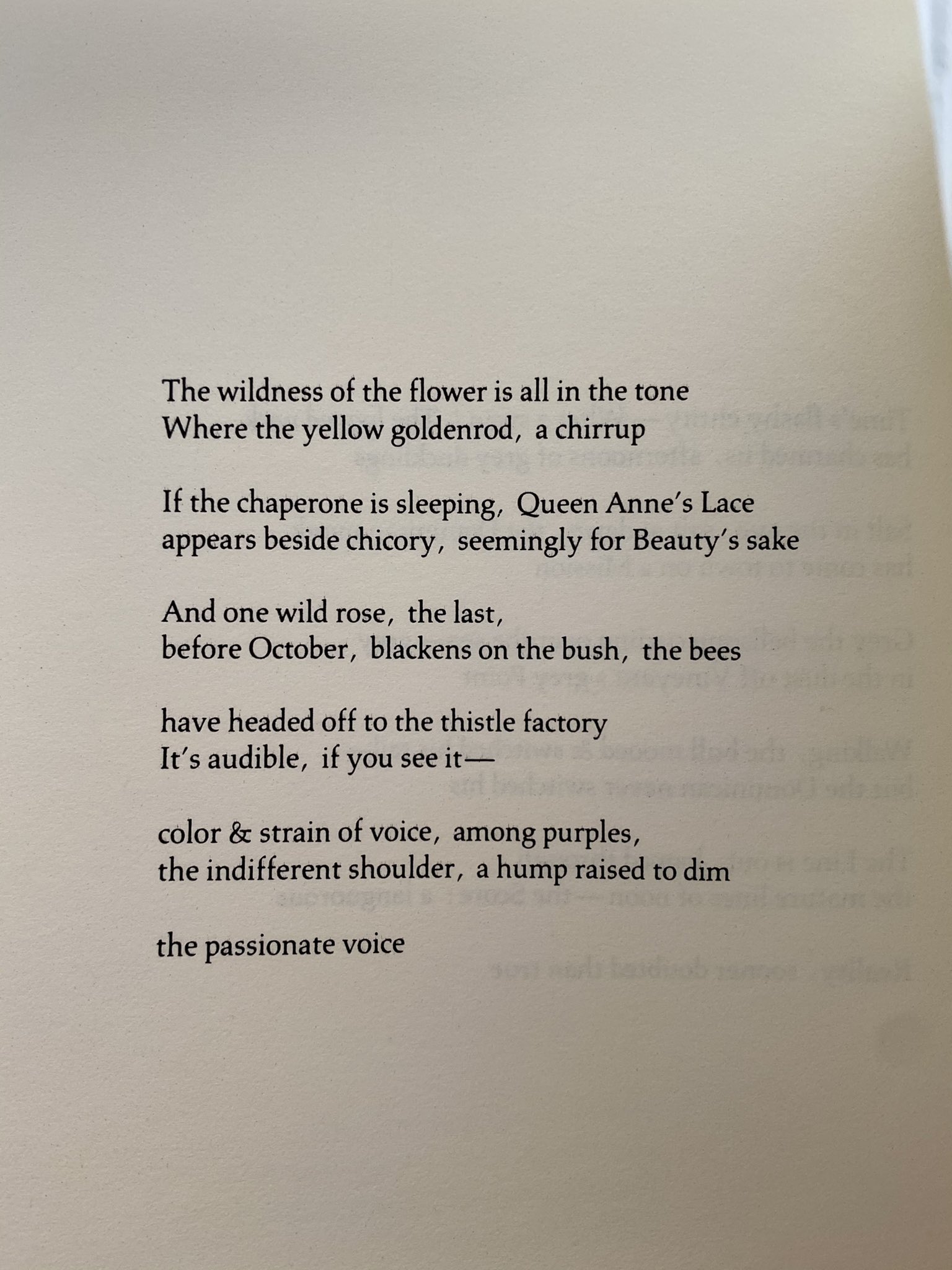 It s audible, if you see it  happy birthday Fanny Howe 