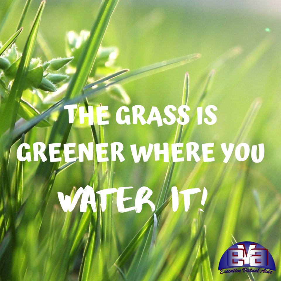 EVAtasking's tweet image. Focus on what You do best... #businesssupport  #businesswoman