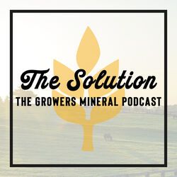 Video from our podcast, episode number 12. The team discusses algae blooms in Lake Erie and their effect.

buff.ly/30lJArV
buff.ly/34ihTRI