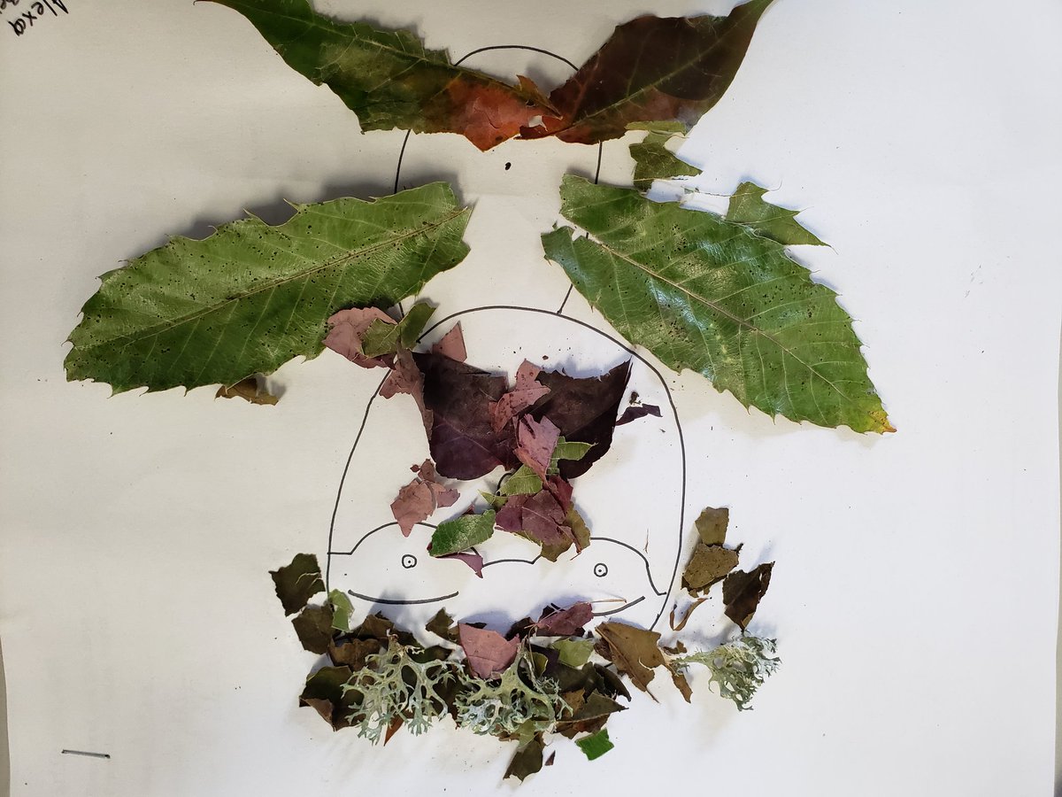 Ms. Rowat tweet media