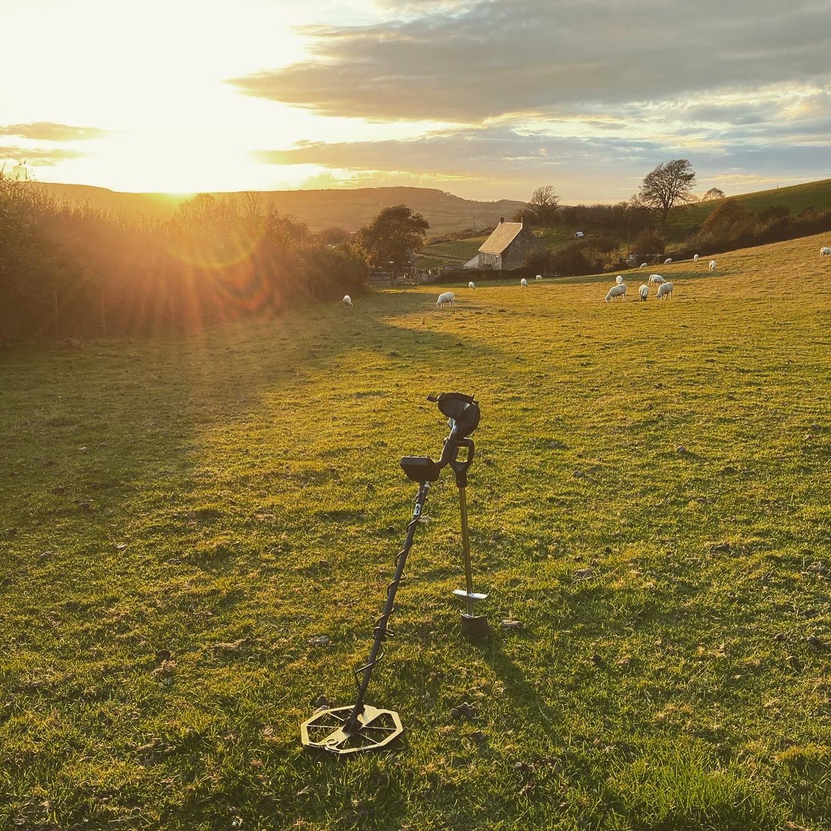 foundbysound's tweet image. Late afternoon hunt &amp;amp; what a beautiful evening. Broken gold 9ct ring found on an old path