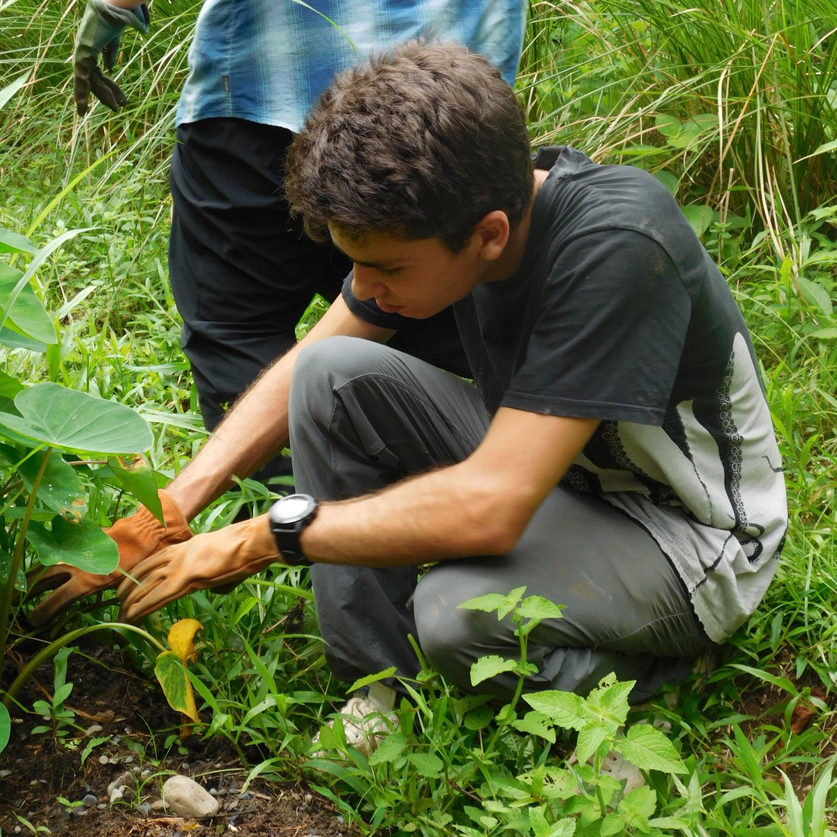 Sustainability. Environmental studies. Agriculture. Food systems. Interested? We've got it.