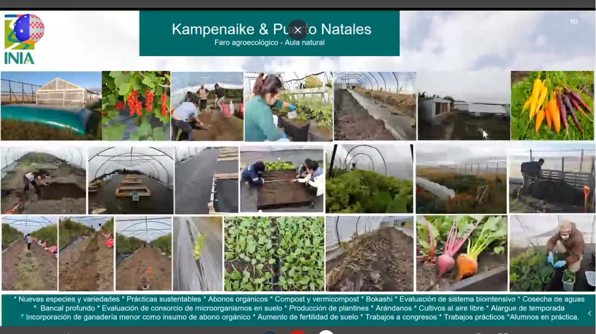 COREMagallanes's tweet photo. CORE aprobó nuevos recursos para Programa de Capacitación en Técnicas de Horticultura a fin de beneficiar a familias afectadas económicamente por la pandemia https://t.co/1IiTsV4QiG a través de @COREmagallanes https://t.co/rSFnxPevVS