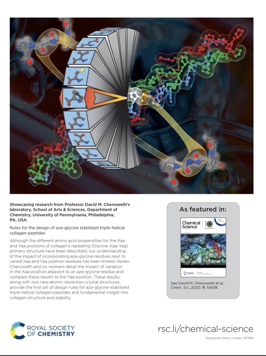 Congratulations to Sam, @MicelleYoucelle, and Pengfei on their recent paper “Rules for Aza-Glycine Incorporation in Collagen Peptides” @ChemicalScience Also, we love Sam’s clever homage to The Price is Right in the outside cover art! pubs.rsc.org/en/content/art…