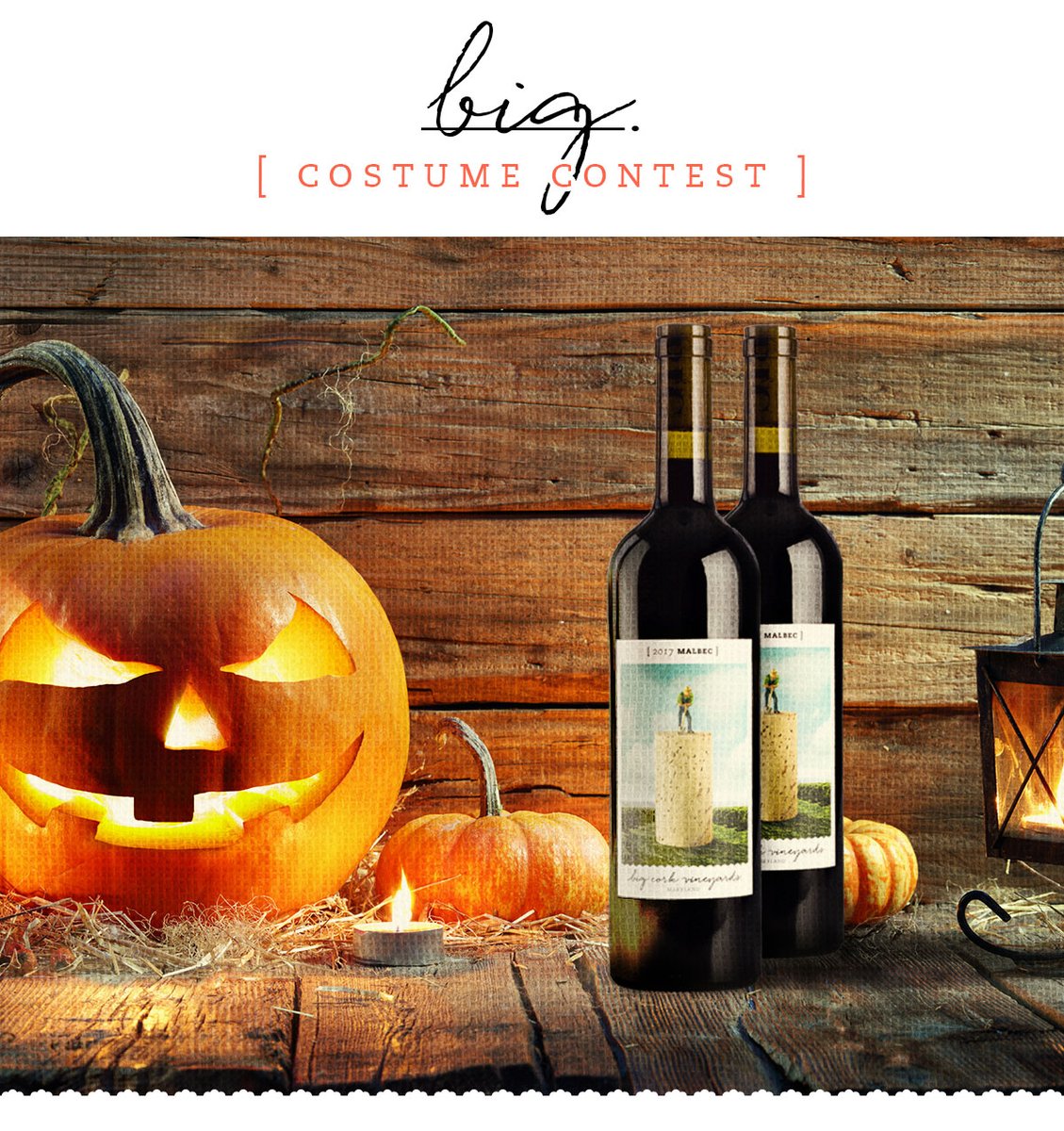 Join us for our BIG Hallo-Wine Bash on October 31 from 11 am - 5 pm. No tickets required, check out our website for more information!