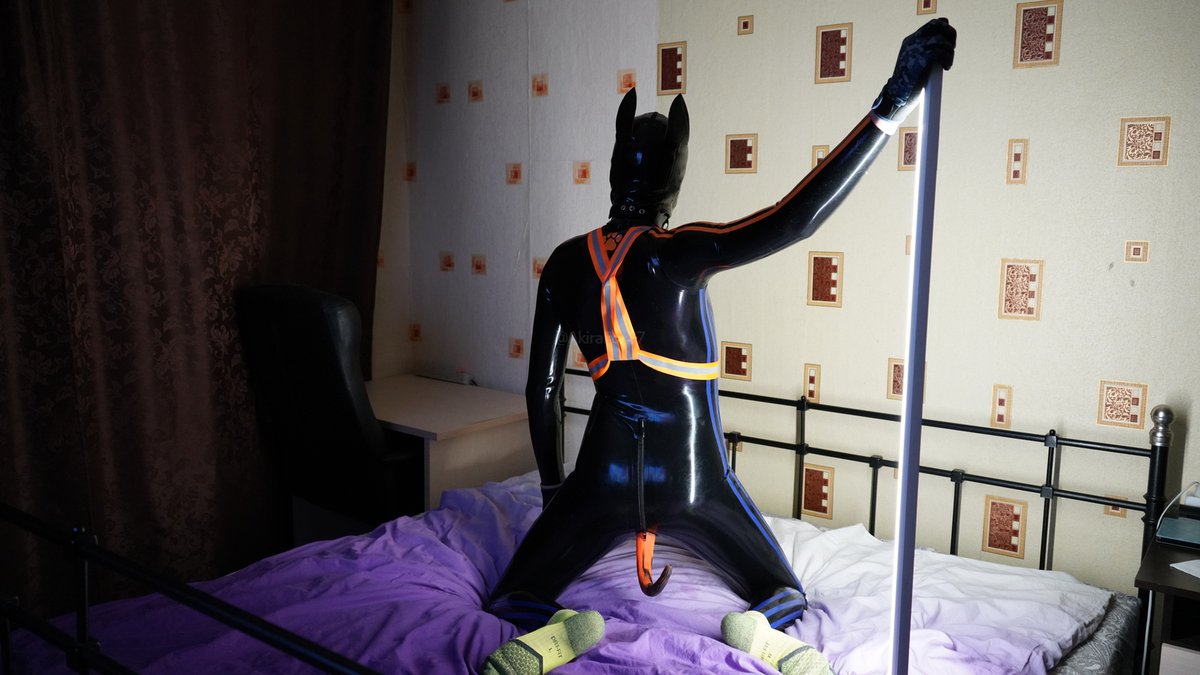 Akira Fox tweet media