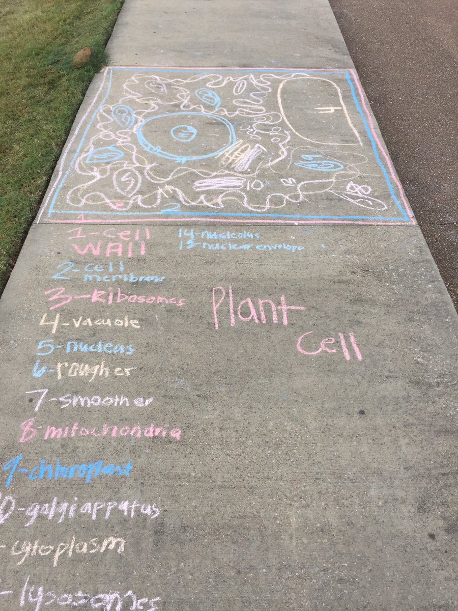 @Mr.Graves tweet media