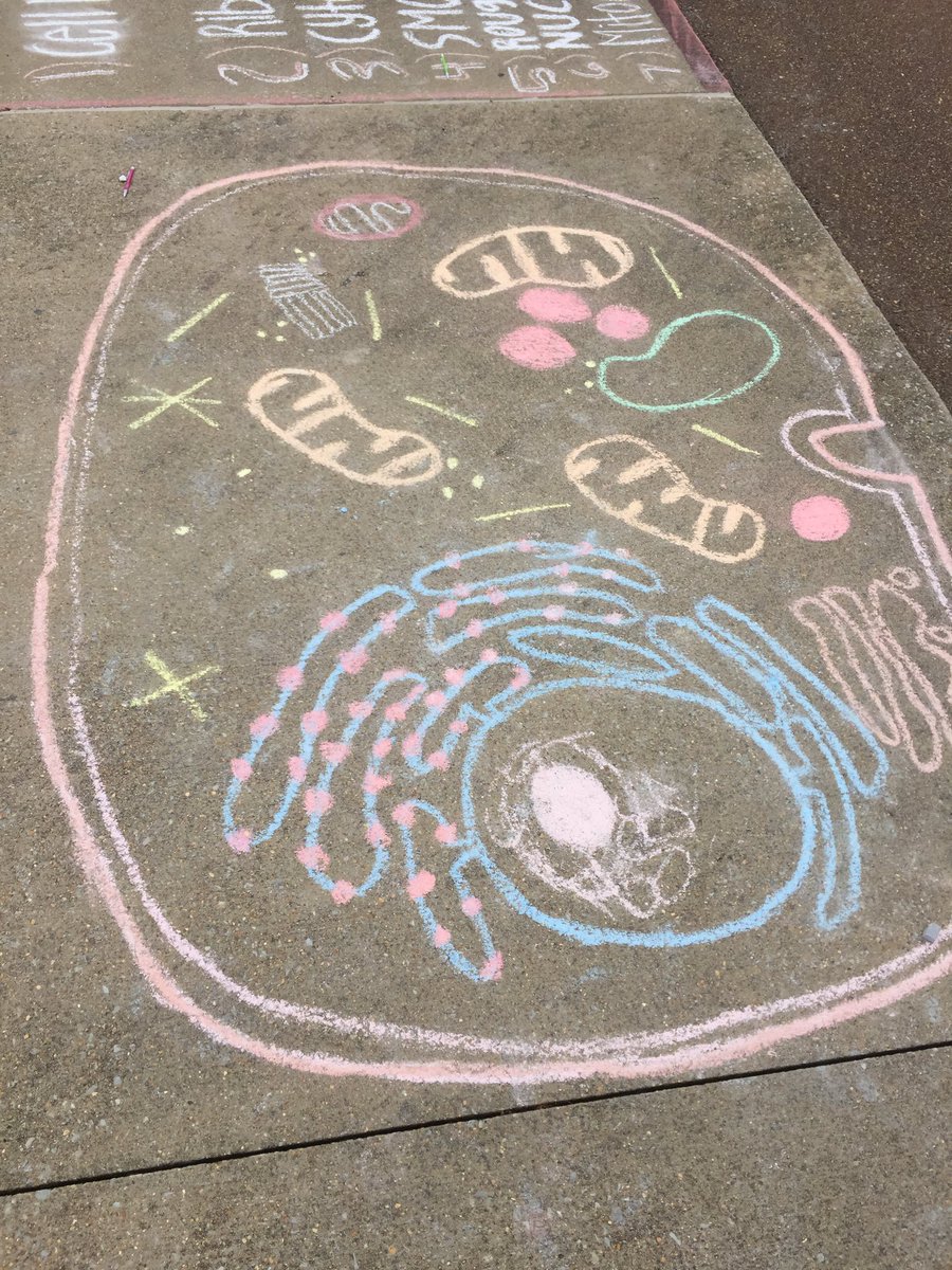 @Mr.Graves tweet media