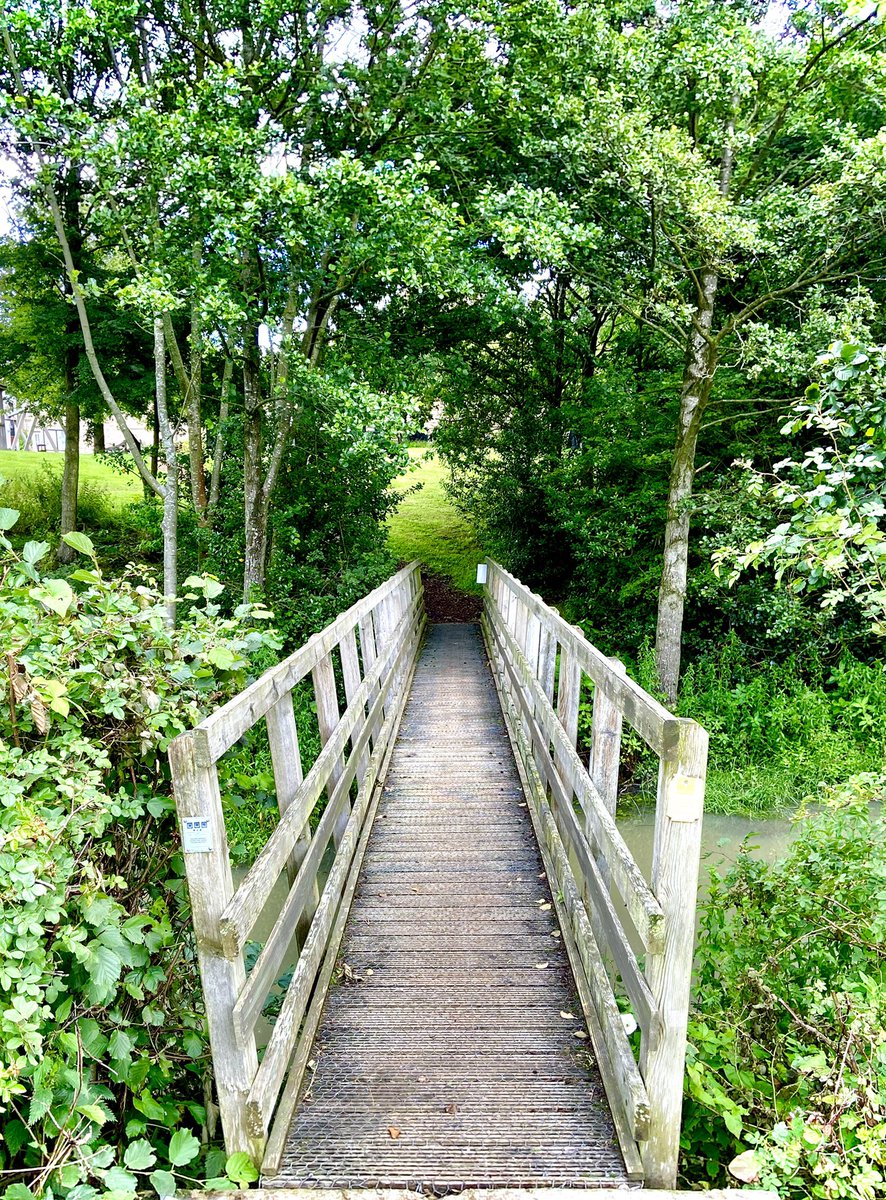 When this is the entrance to your workplace... you know you’re blessed!  🙌