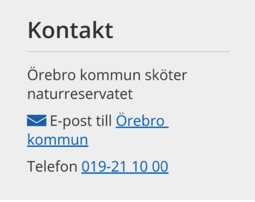 Markus Gustavsson tweet media