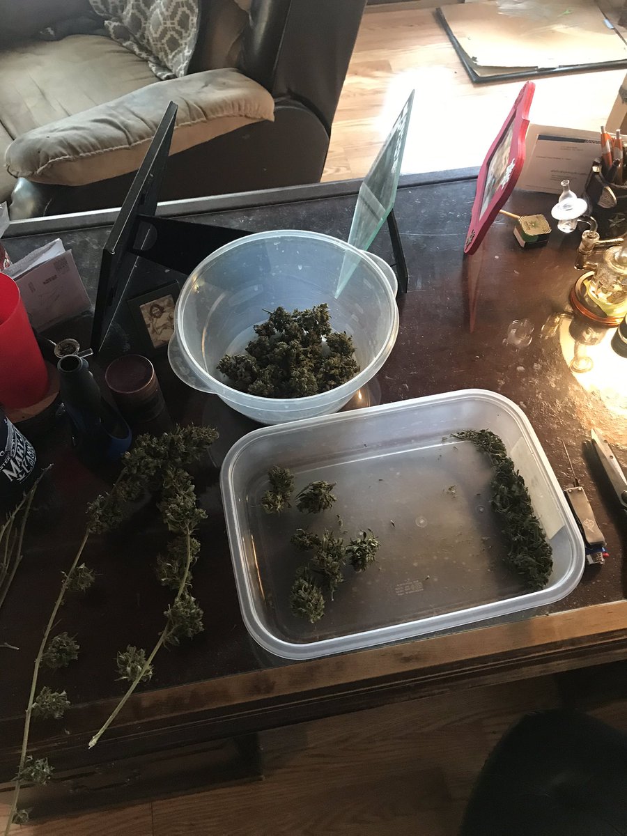 Getting Mary ready for her final destination! 💨 #IAmCannabis #HomeGrown #OklahomaCannabis #StonerFam #CannabisCommunity