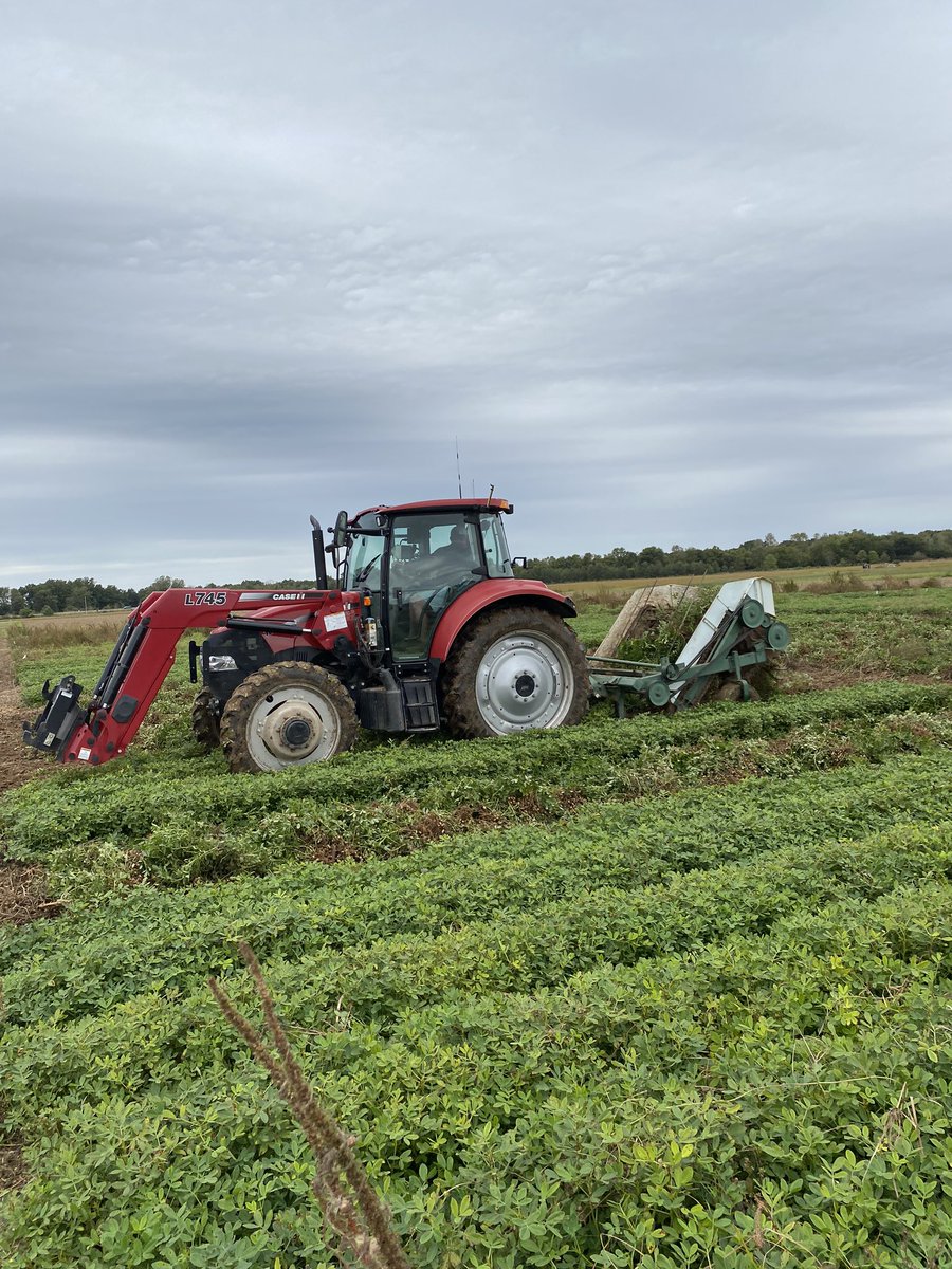 KBriscoePhD's tweet image. Much appreciated! RT @AR_TomBarber: Digging some peanut weed control plots at Newport Extension Center today.  Evaluating Brake herbicide tolerance. #uaexweeds #ARcrops