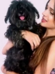 figueredfo's tweet photo. #buscandoaloki
Atlantida,Las Toscas y alrededores estoy buscando a mi perrito ,🙏difundan https://t.co/xU8jaDgJfN