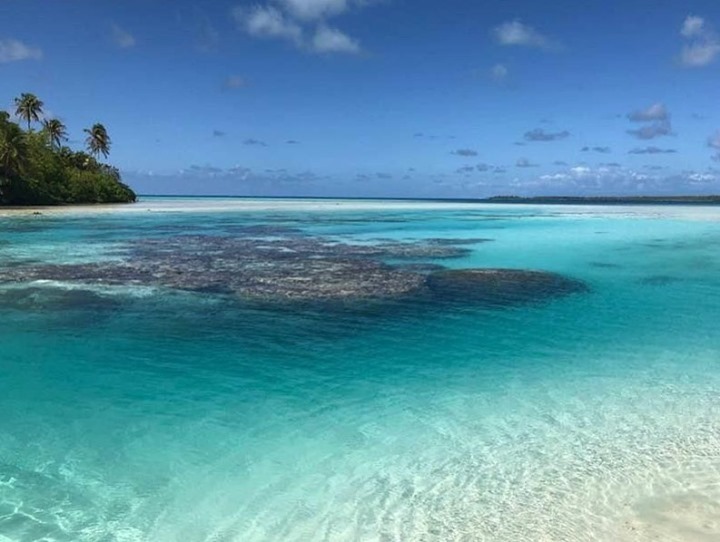 PacBeachcomber's tweet photo. Tetiaroa and The Brando... paradise on earth!
📷: @philippebrovelli
https://t.co/WZYwEV1iin
#tetiaroa #thebrando #thebrandoresort #frenchpolynesia #island #travel #paradise #privateisland #luxury #dream #turquoiselagoon https://t.co/ZPH77oQ06Z