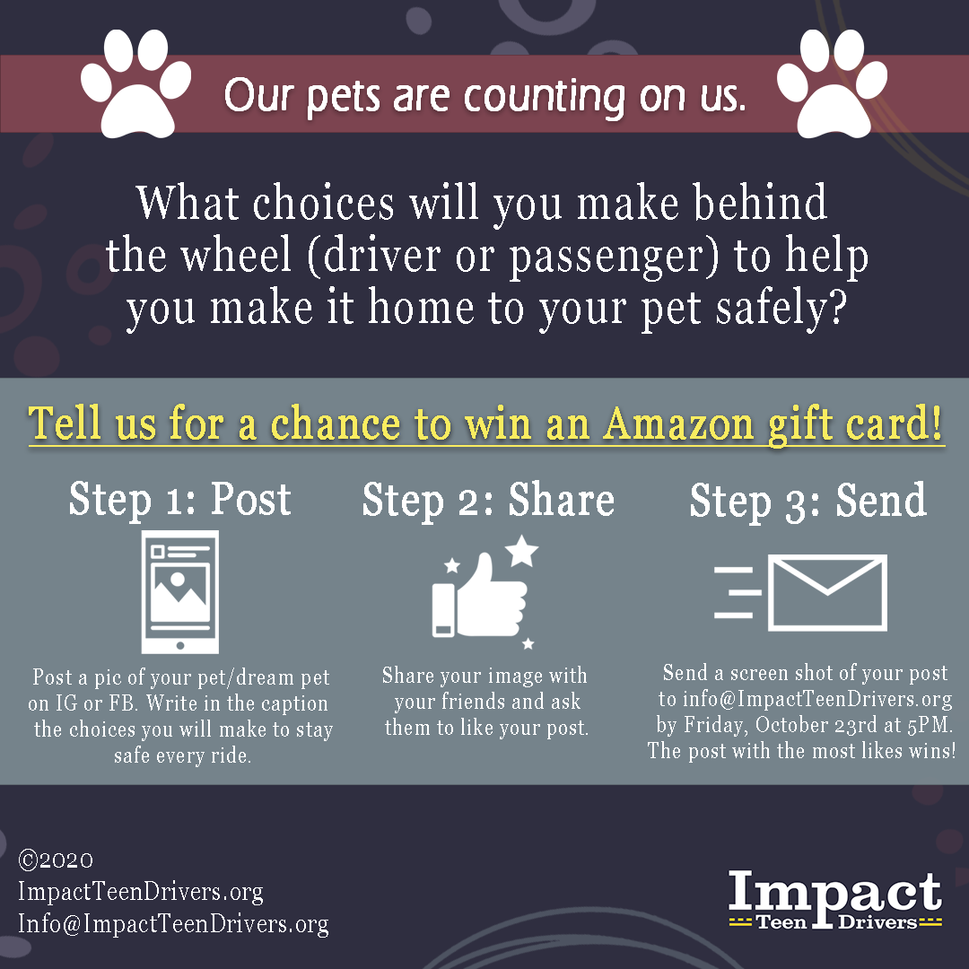 Read and share this #contest info right "meow!" The post with the most likes will win an Amazon gift card. Contest opens on Sun 10/18 &amp; closes Fri 10/23. Directions to enter in the image! 

#NTDSW #NationalTeenDriverSafetyWeek #pets