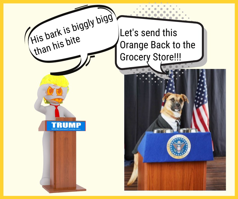 YoDoggyDogStore's tweet photo. @realDonaldTrump https://t.co/RfxzH6sLAw