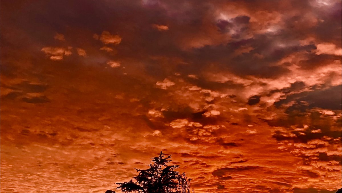 Colonizing the red planet is now possible 2020. 🌅