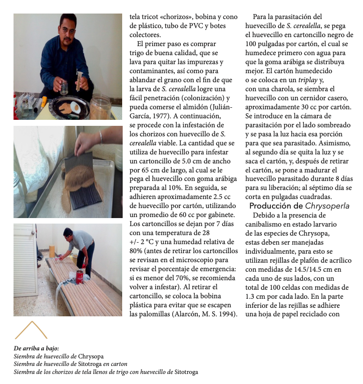 PIPNAC's tweet photo. Les compartimos el artículo "Técnicas en la reproducción de insectos benéficos" publicado en #NuezSureña de
@PecanSouth, por el M.C. Roberto Sánchez del @inifap. Disponible en: https://t.co/JEWom4Vv1W #pecans #pecanas #pacanas https://t.co/zzevWiEmee