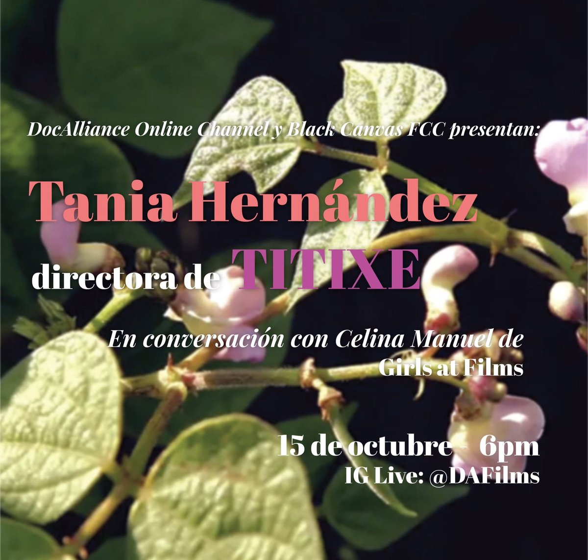 BlackCanvas_FCC's tweet photo. @DocAllianceFilm y #BlackCanvasFCC2020 presentan:
Tania Hernández, directora de Titixe, en conversación con Celina Manuel de @girlsatfilms, en vivo a través del IG de #DAFilms.
🗓 15 de octubre
🕕 18:00 hrs
+info: https://t.co/LsSmJuSFtP
#4taEdiciónHíbrida https://t.co/wE8LPgPOvu