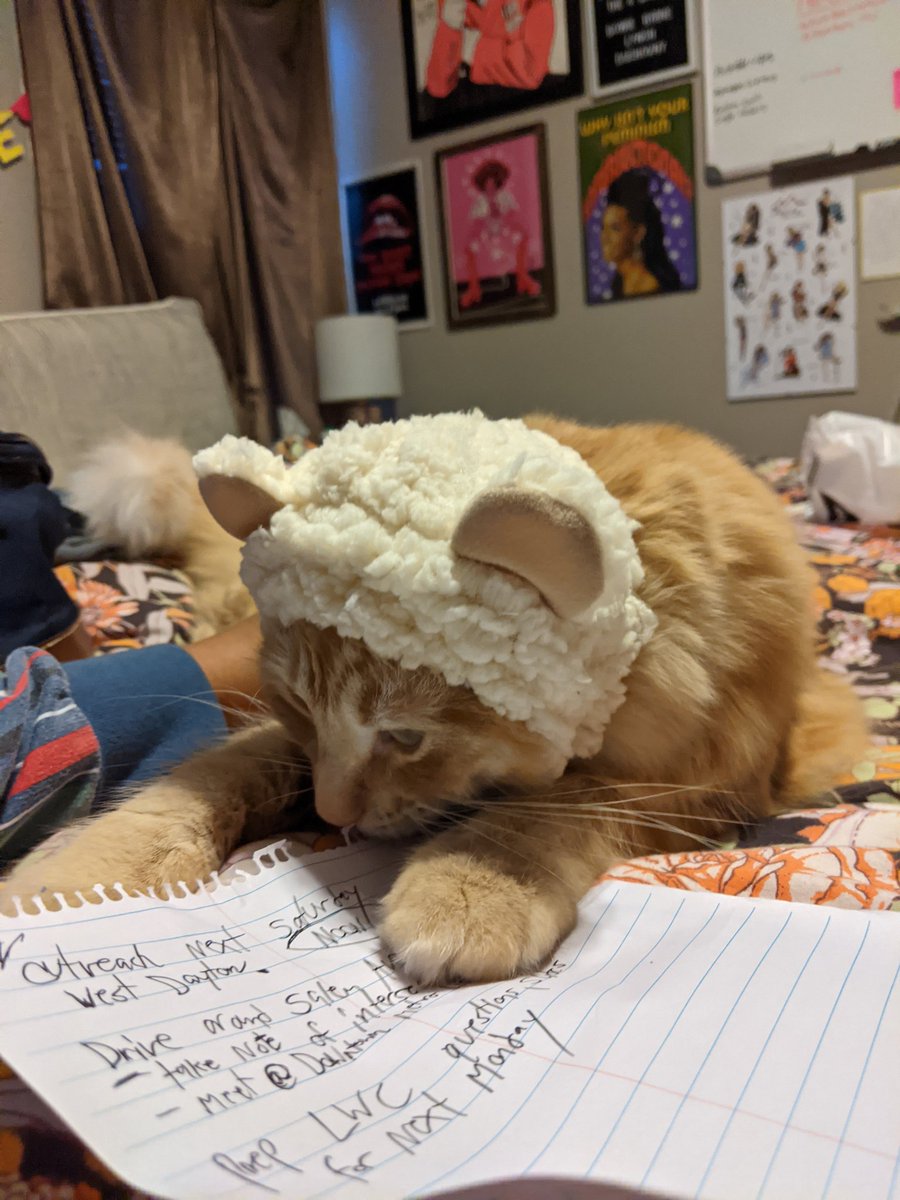 lilziggyboi's tweet photo. Momb torned mie intew ane bear ande laff 😤 I wille gette mine revange..... https://t.co/IIaOJNh0lz