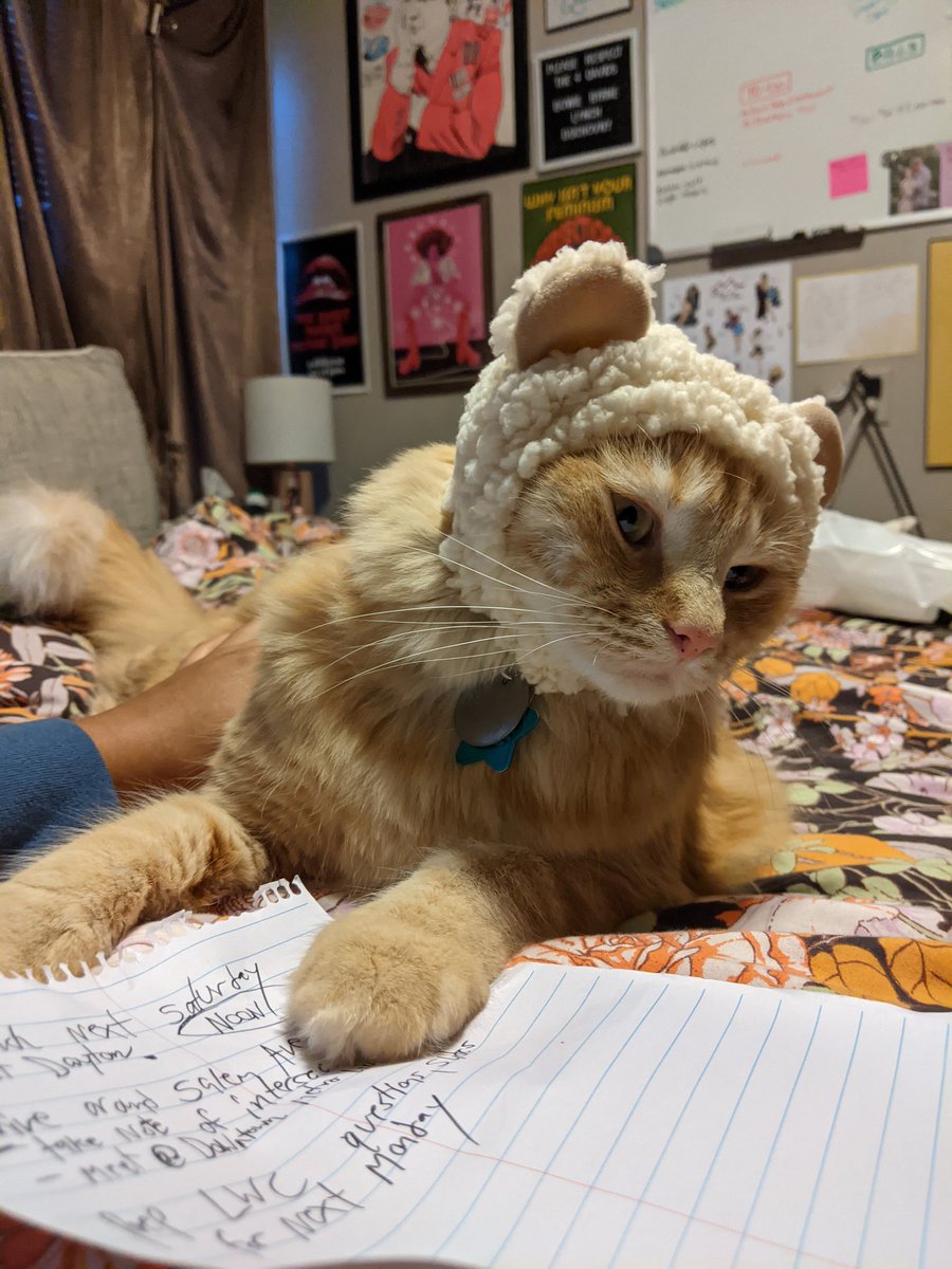 lilziggyboi's tweet photo. Momb torned mie intew ane bear ande laff 😤 I wille gette mine revange..... https://t.co/IIaOJNh0lz