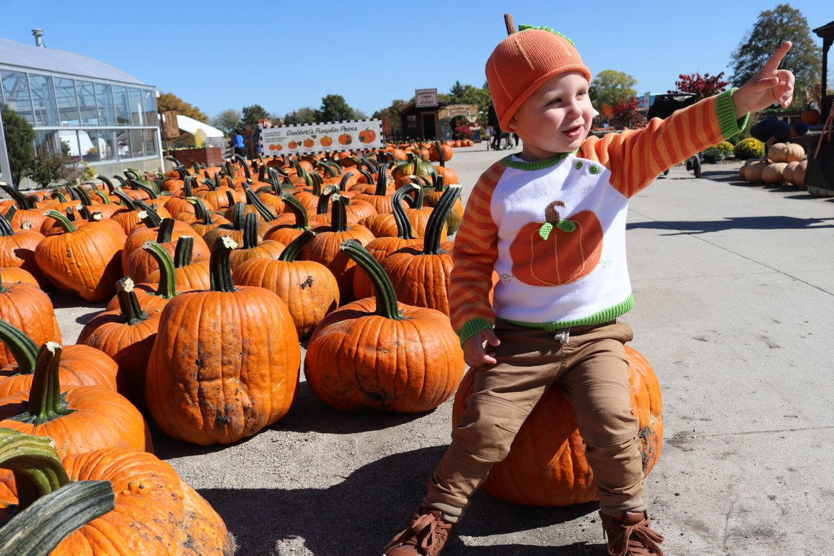Cutest pumpkin in the patch🎃🍂

Santi is wearing our pumpkin cotton knit sweater and hat.

#pumpkins #pumpkin #kidsfashion #Autumn #pumpkinpatch #zubels #knitsweater #sweaterweather #fallvibes #photography #kids #chicagofashion