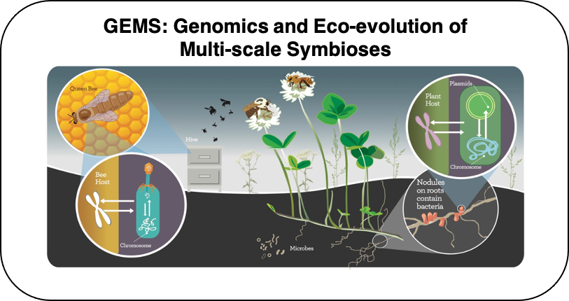 jaytlennon's tweet photo. Postdoc available in our lab to study evolutionary ecology of plant-microbe interactions. Application and details here: https://t.co/TIX6hndM8V. Don't hesitate to contact me with questions. Please RT. https://t.co/jCdfo1zXXK