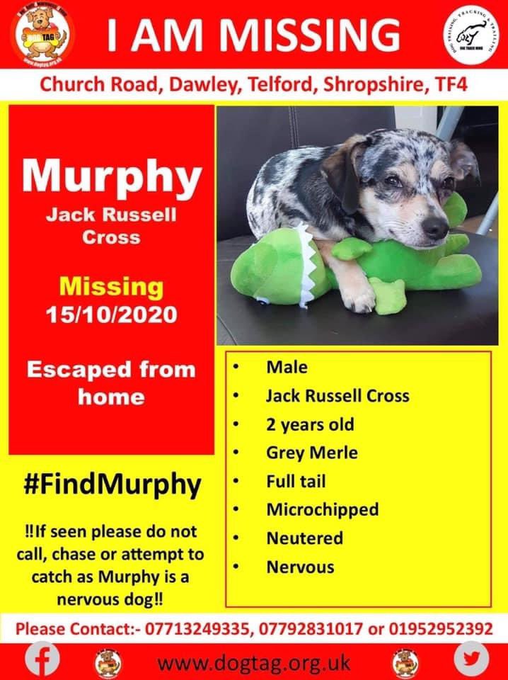 DogTAGMids's tweet photo. #missingdog
#lostdog
#missingdoguk
#dogsofinstagram
#lostpet
#missingpet
#lostdogs
#pleasehelp
#missingpets https://t.co/RuyI1bBUOZ