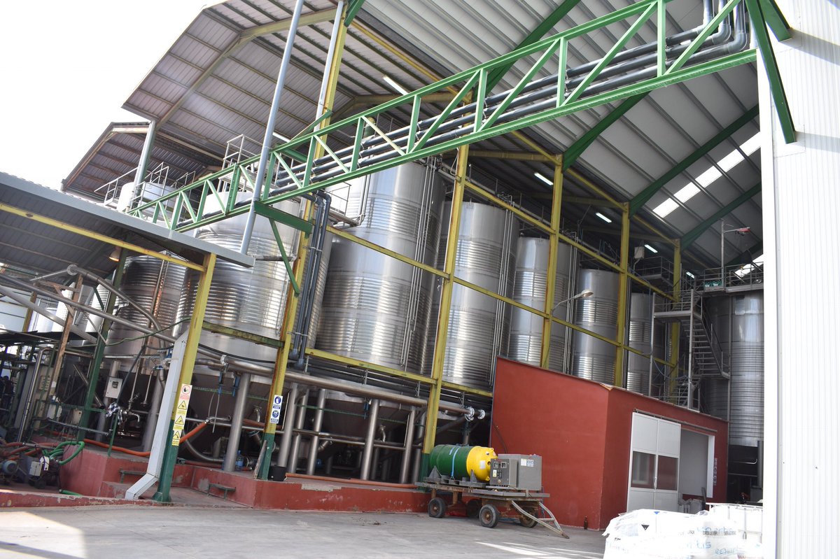 JCCMCuenca's tweet image. El delegado provincial de @AgriculturaClm @JoaqunCuadrado ha aplaudido el desarrollo de la campaña de vendimia y ha destacado el abono de 6,6 millones de euros en ayudas a la reestructuración del viñedo en la provincia de #Cuenca que ha llegado a 659 viticultores