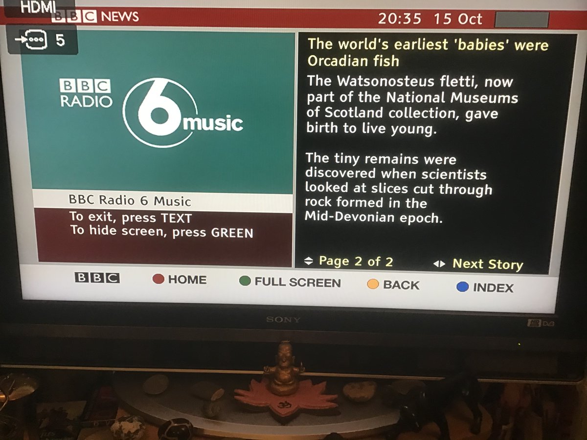 El_Strawb's tweet image. Things you learn on #BBCRedButton BBC RED BUTTON
#WatsonosteusFletti
@BBCNews @bbcrb @theAliceRoberts