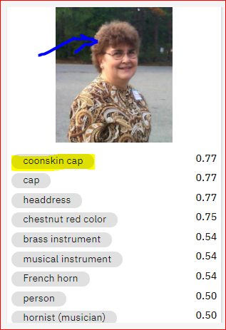 IBM Virtual Recognition Classifier gets its joke on