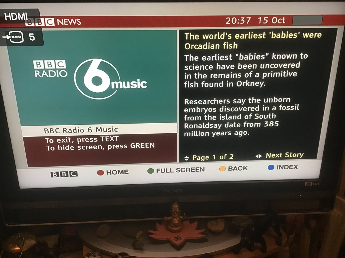 El_Strawb's tweet image. Things you learn on #BBCRedButton BBC RED BUTTON
#WatsonosteusFletti
@BBCNews @bbcrb @theAliceRoberts