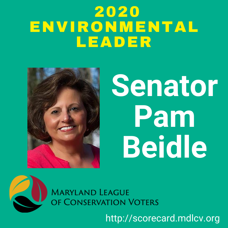 MDLCV's tweet photo. Shoutout to Environmental Leader, Senator Pam Beidle @PamelaBeidle for her leadership and support in the 2020 session to further protect Maryland's environment! Check out our full list here: https://t.co/btqHla3Bef #MDLCVScore #EnvironmentalLeader https://t.co/zhgOjuPM8H